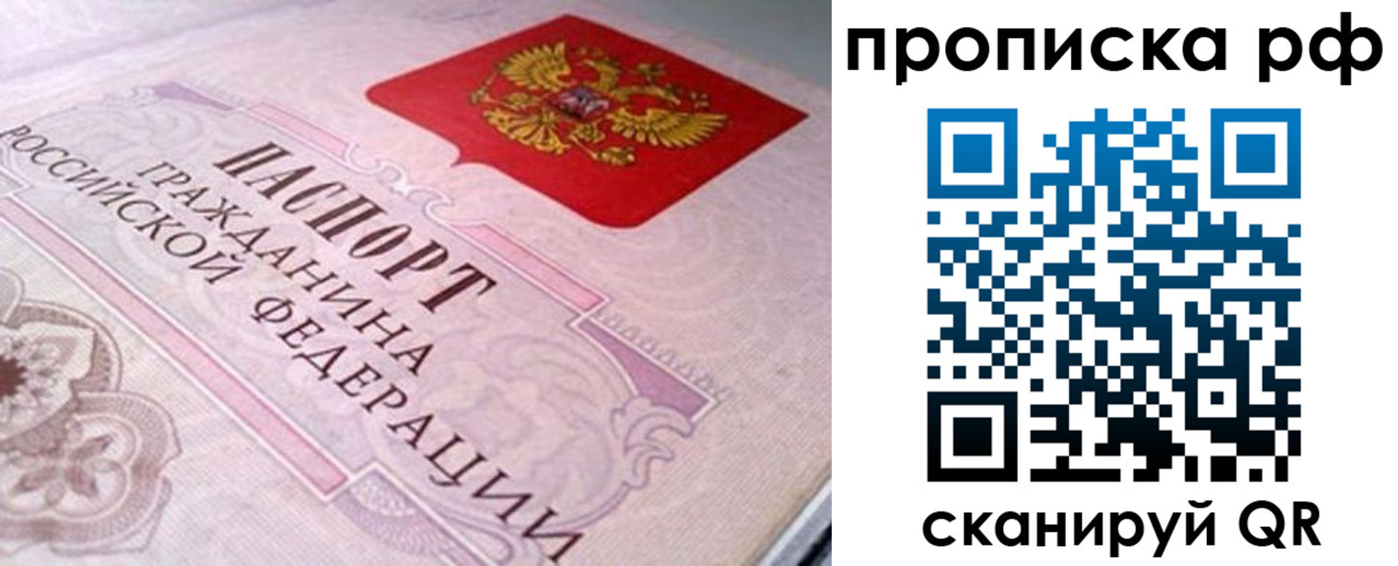 временная регистрация в Дмитрове